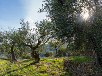 Dal mare alle montagne